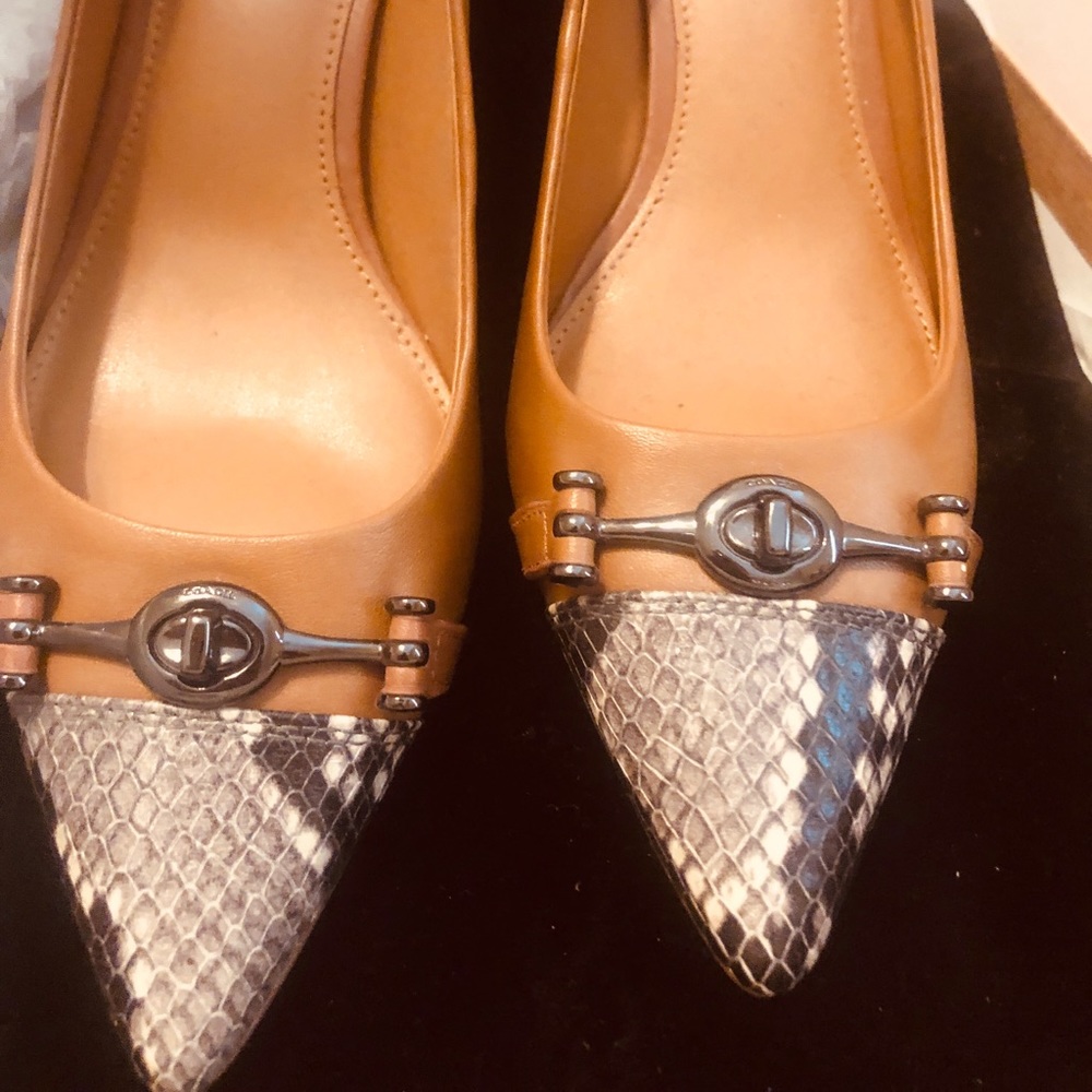 New Coach buckle leather and snake skin heels